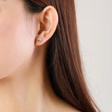 Paw-shaped Silver Earrings with Zirconia